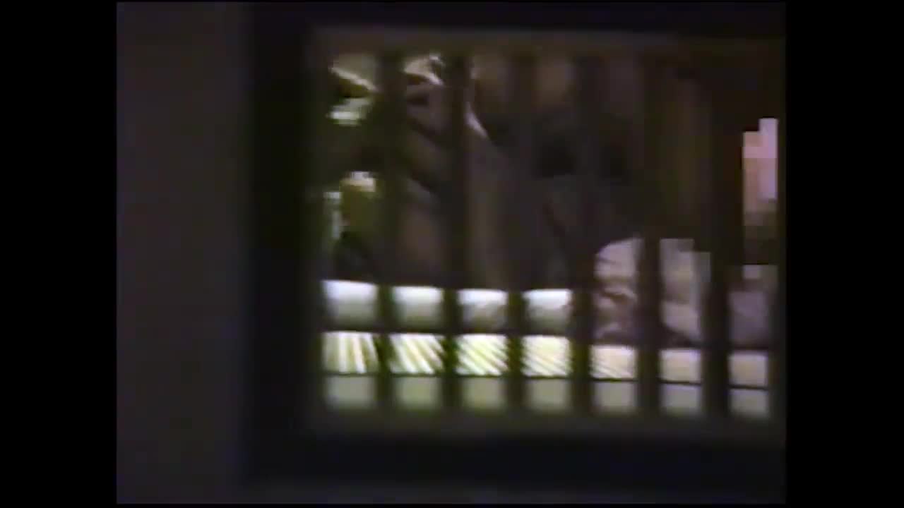 スーフリに入ってた頃にお持ち帰りした女の子と旅館の和室でSEXを8mm – エロ動画の「エロ達」