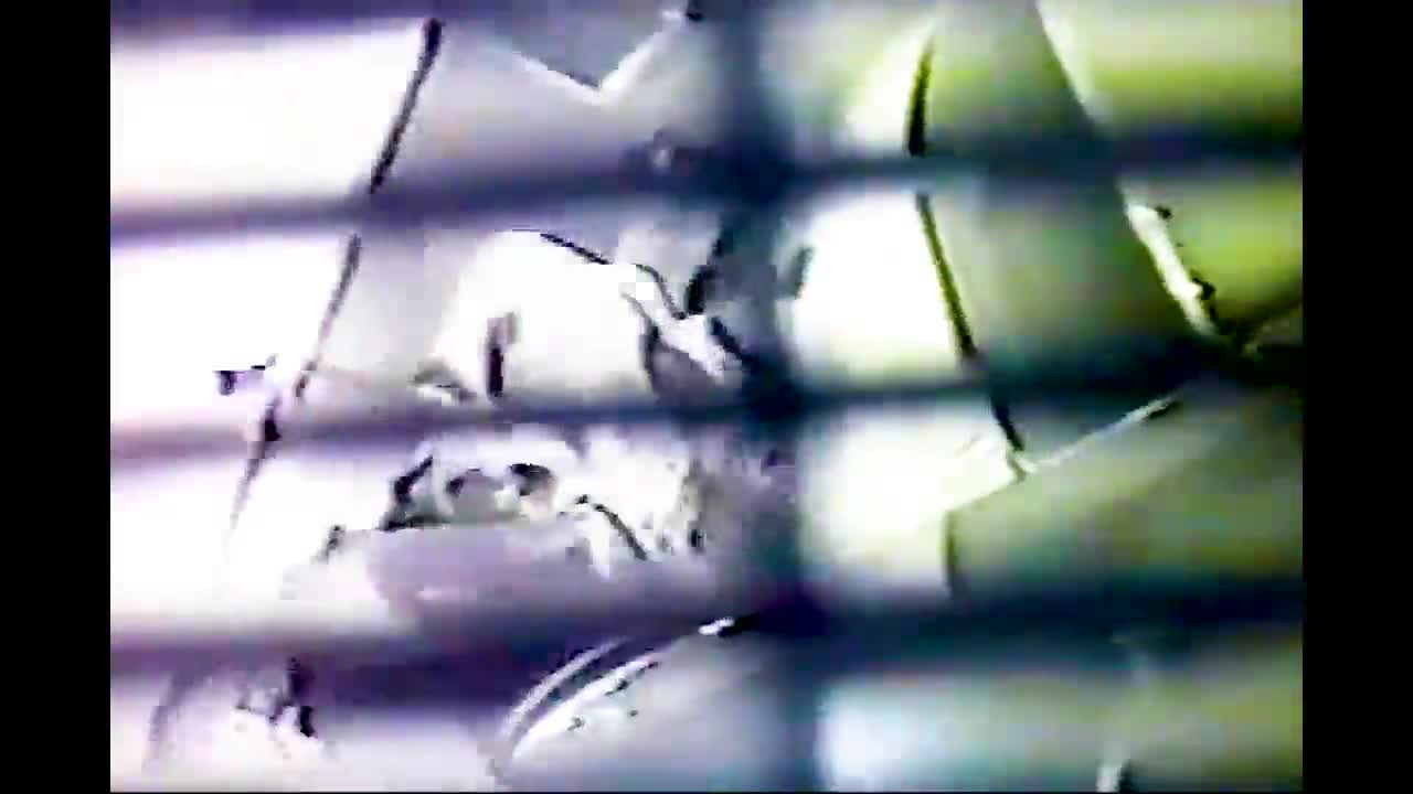 素人ガチ洋式女子トイレ携帯電話付属カメラを通気口に仕掛けXXお宝 – エロ動画の「エロ達」