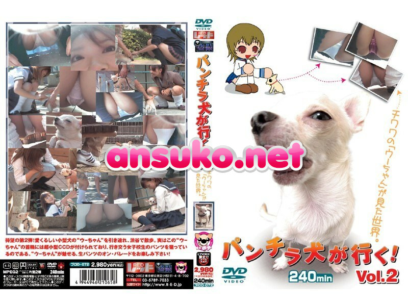PUROD-072 パンチラ犬が行く！ Vol.2
