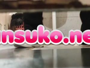 ショッピングモール女子トイレパノラマ盗撮グリーンビューティーB毛むくじゃらアワビ
