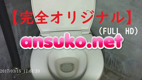 山の公衆トイレ・美女編②