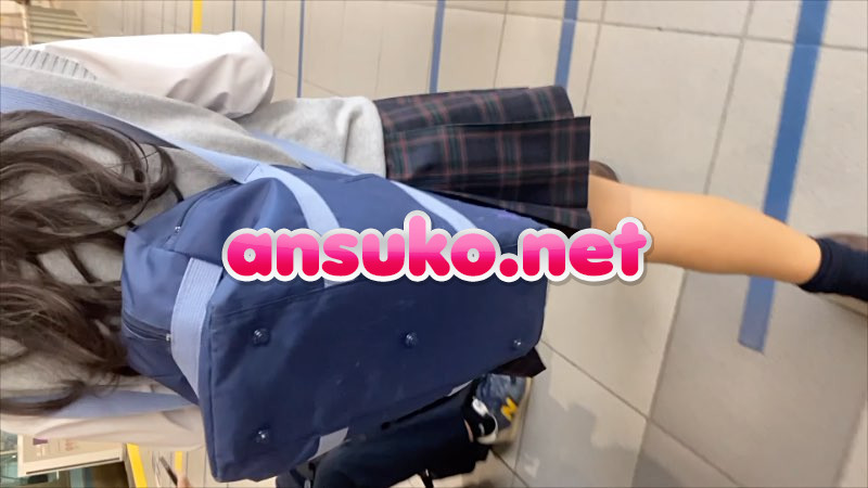 ニンジン好きJKの電車盗撮 [373MB]