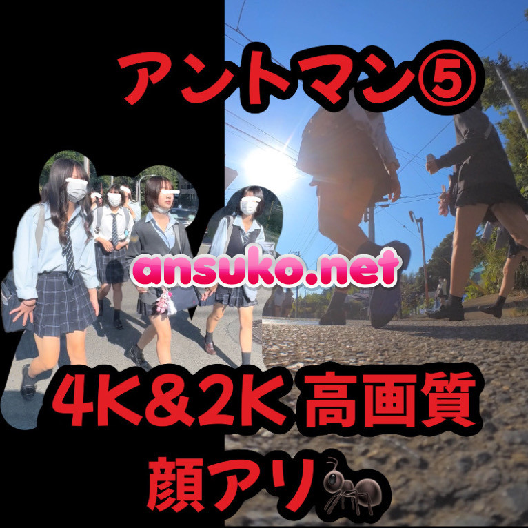 24h限定値下げ！顔アリ‼︎アントマン⑤4K&2K高画質 3GB