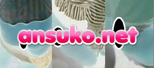 トイレ安らぎ極21風さんのプリンたち