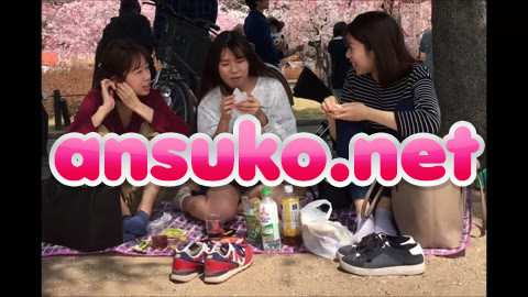 【癒しのオアシス181】ぴちぴち！！可愛すぎる３人組のお花見風景